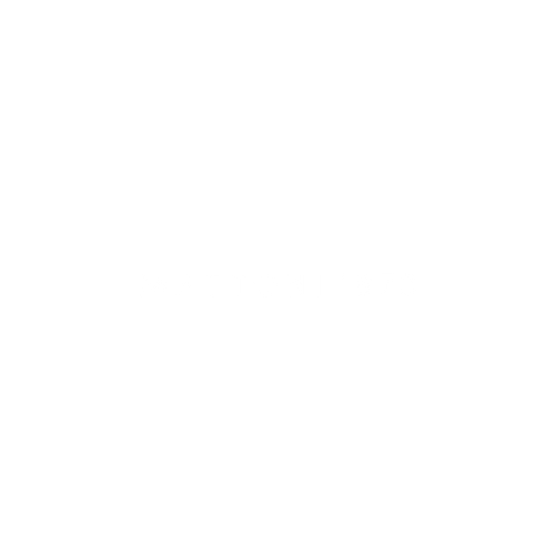 Mattoni 1873