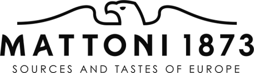Mattoni 1873